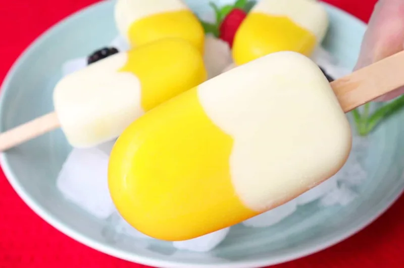 Easy 2 Ingredient Sugar Free Ice Cream